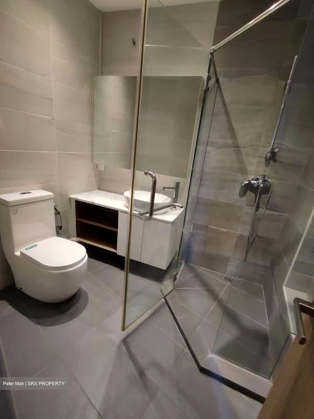 The Draycott (D10), Apartment #569779921